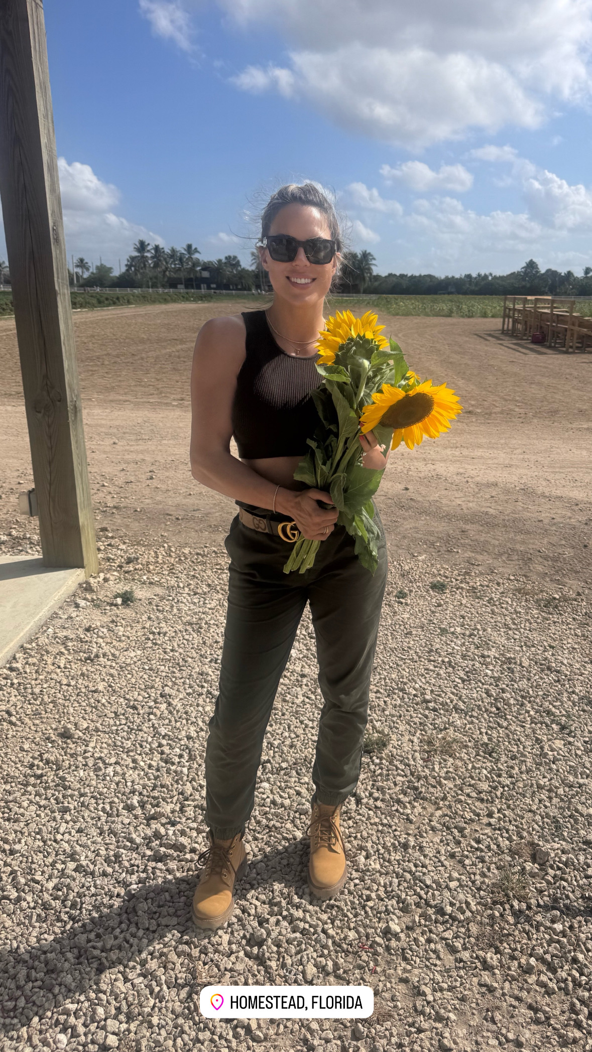 Picking sunflowers in Homestead, Florida